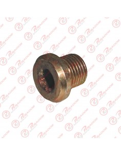 Tapon Allen 10mm  C/ Ala Om...