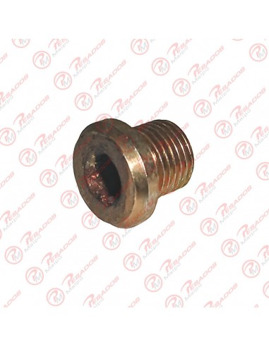 Tapon Allen 10mm  C/ Ala Om 366...