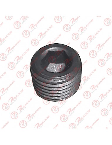 Tapon Allen 10mm Om 366 (10823)