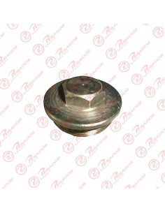 Tapon Tanque Gas Oil 608...