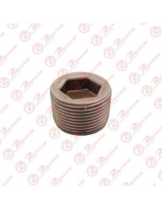 Tapon Allen 24 Mm (00122)...