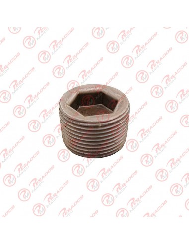 Tapon Allen 24 Mm (00122)  (10821)