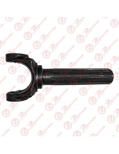 Macho Cardan (frt180311)...