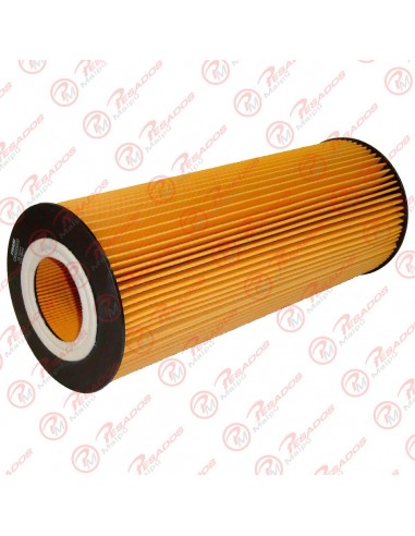 Filtro Aceite Cartucho (ch5933) Mb...