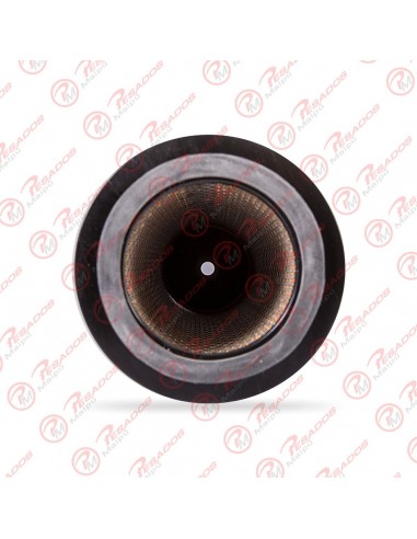 Filtro Aire Primario (ca4202) Mb...