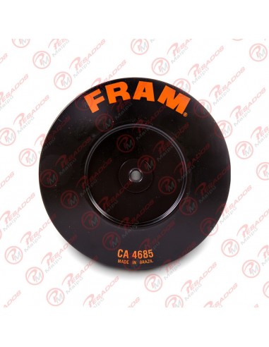 Filtro Aire Primario (ca4685) Iveco...