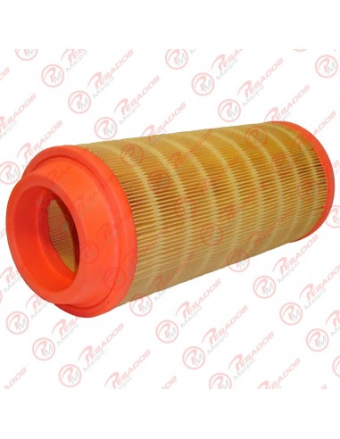 Filtro Aire Primario (ca9003) S10/...