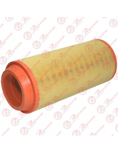 Filtro Aire Primario (ca9002) Nissan...
