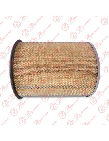 Filtro Aire Primario (ca9560) Volvo...