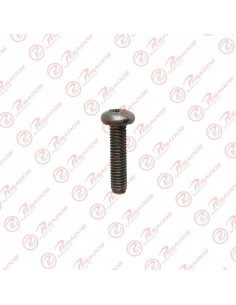 Tornillo Cabeza Fijadora Torx Ma 6 X 25 Mm Inox (x9401.a075-3)