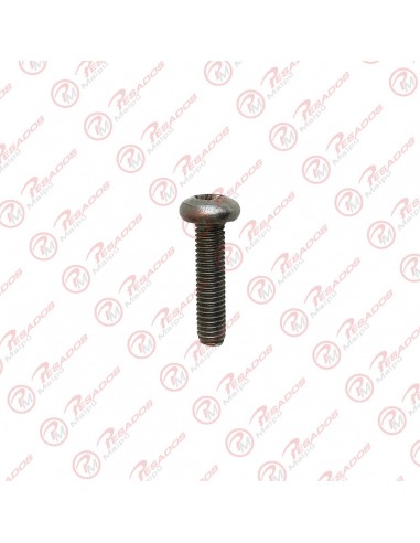 Tornillo Cabeza Fijadora Torx Ma 6 X...