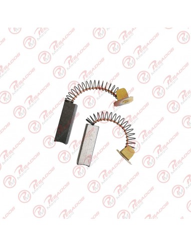 Conjunto De Carbones Para Motor Tapa...