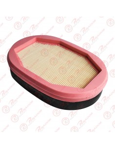 Filtro Aire (ef 8002 C)