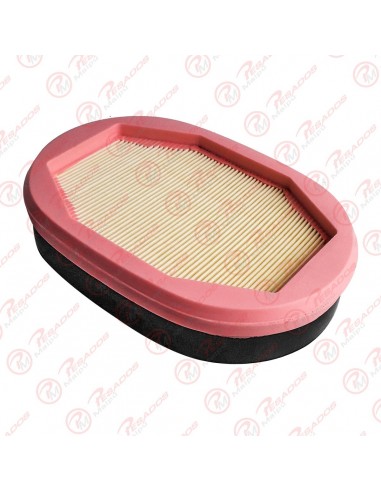Filtro Aire (ef 8002 C)