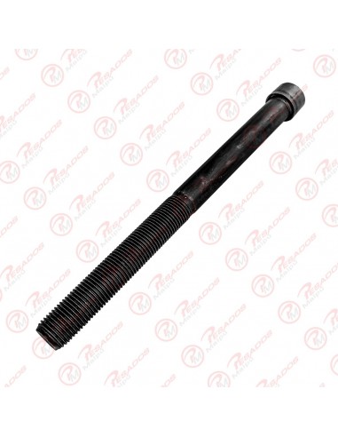 Bulon Central 12 X 100 C/tca