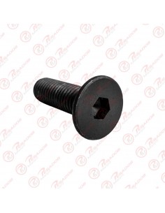 Tornillo Cabeza Frezada 1/4...