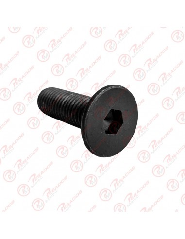 Tornillo Cabeza Frezada 1/4 X 1 Compl