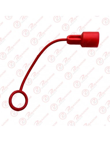 Tapon Hembra 1/4 (665-2)