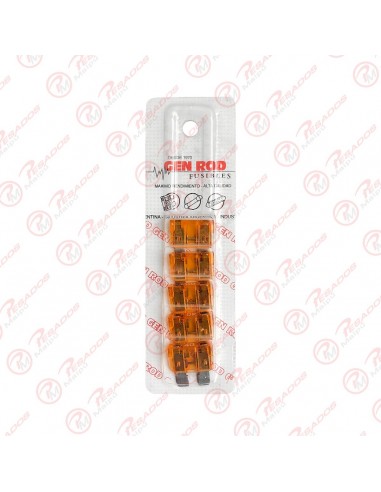 Fusible Ficha 40 A Blister X 5 U