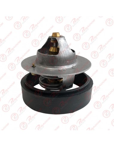 Termostato 7131 82 Ford...