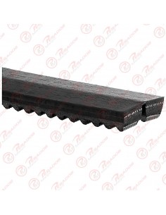 Correa 13a1275 Dayco