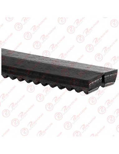 Correa 13a1275 Dayco