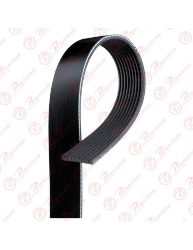 Correa Poli V 9pk2338hd Dayco