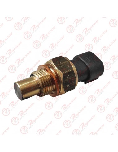 Sensor Temperatura (10011) Iveco...