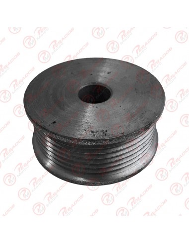 Polea Alternador (t11551415)