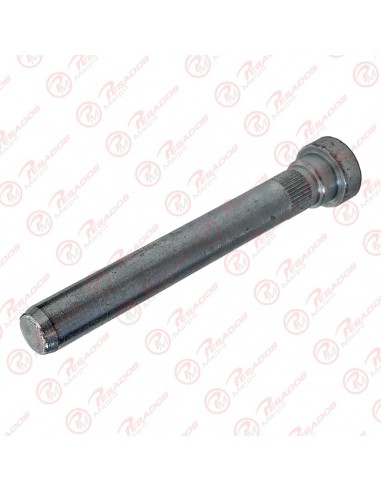 Perno Bisagra Puerta Inf Scania S4