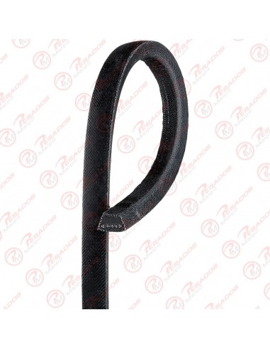 Correa Industrial A43
