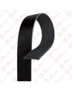Correa Poli V 12pk1830 Gates