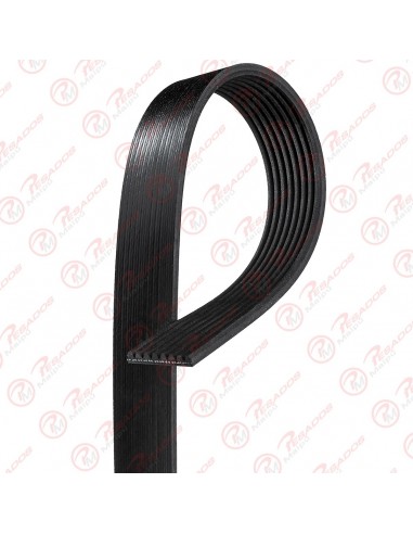 Correa Poli V 8pk1831 Gates