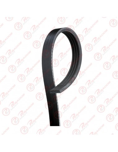 Correa Poli V 4pk1041 Hutchinson