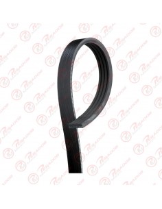 Correa Poli V 4pk1040 Skf