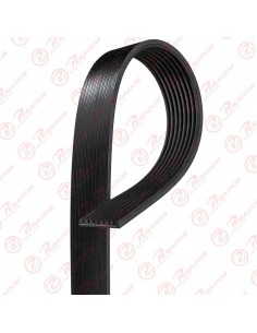 Correa Poli V 8pk1590 Skf