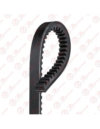 Correa 13a1560 Dayco
