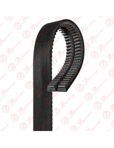Correa 13a1525 Doble Dayco