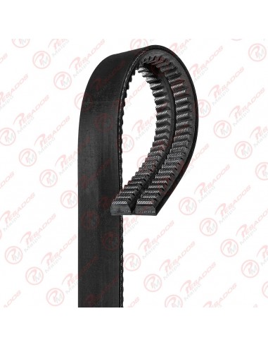 Correa 13a1525 Doble Dayco
