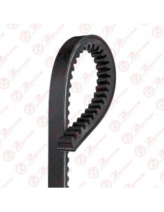Correa 13a0775 Dayco