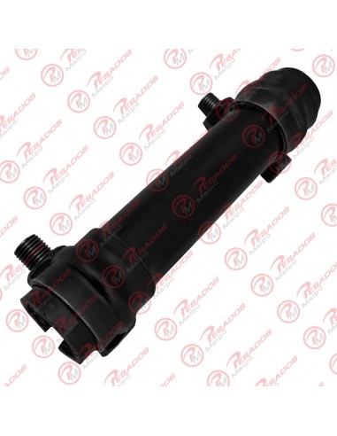 Manguito Acople F100/1000 92/99 (33605)
