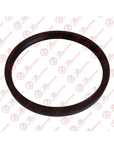 Reten 12015265 Maza Rueda Iveco...
