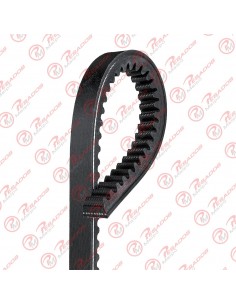 Correa 13a1000 Dayco