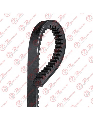 Correa 13a1000 Dayco