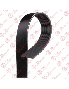 Correa Poli V 10pk1150 Dayco