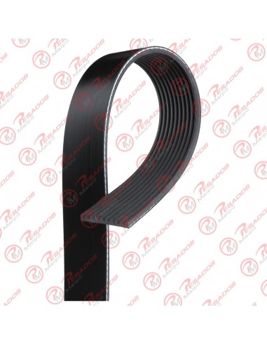 Correa Poli V 10pk1150 Dayco