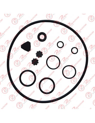 Juego Repaparacion Selectora Fiat 619...