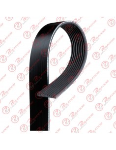 Correa Poli V 9pk2870-4 Gates