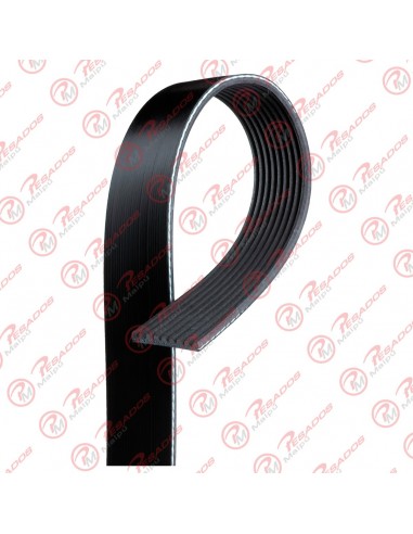 Correa Poli V 9pk2870-4 Gates