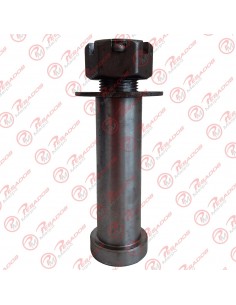 Perno Lanza 38 X 110 C/t